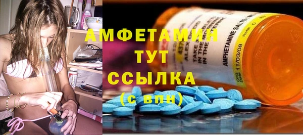 сатива Баксан