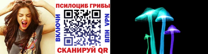 Псилоцибиновые грибы Psilocybine cubensis  Обь 